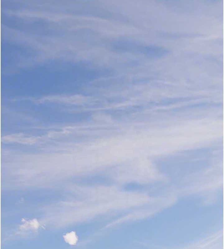 133.jpg