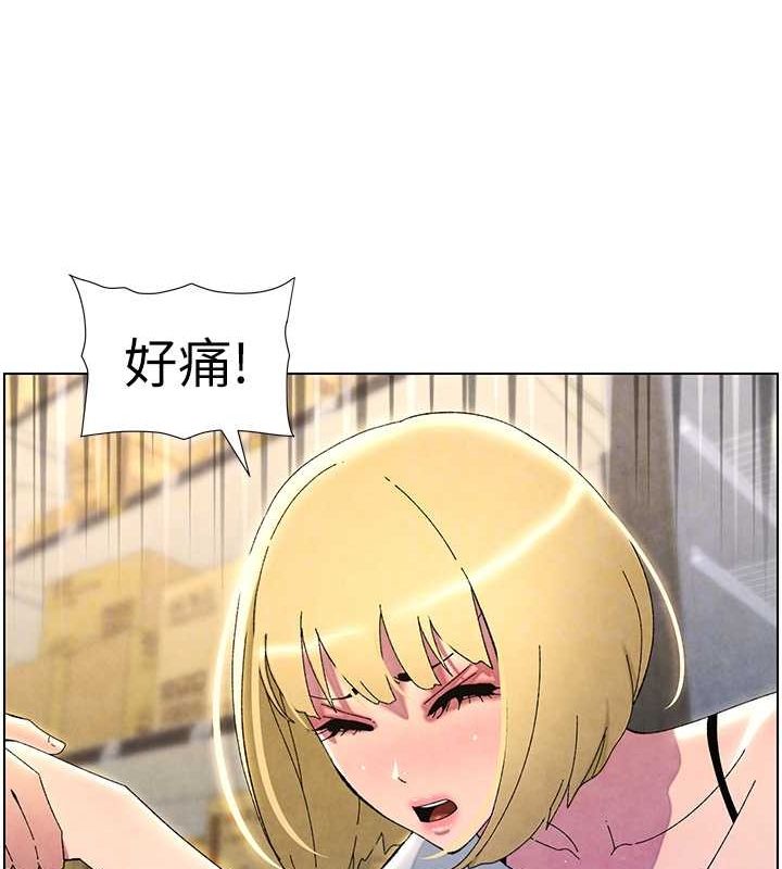 84.jpg