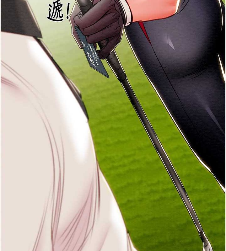 241.jpg
