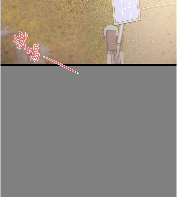 223.jpg
