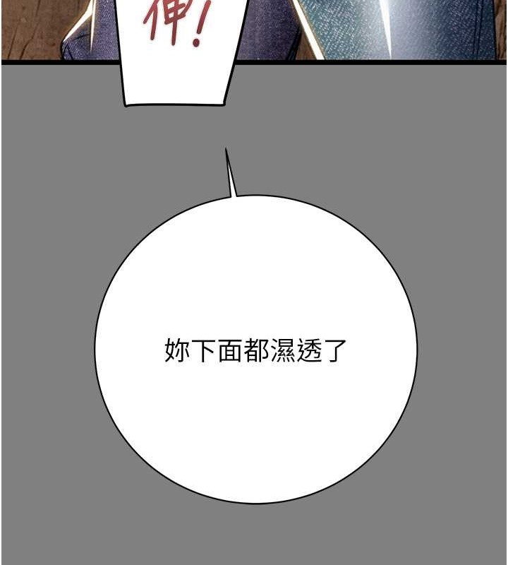 233.jpg