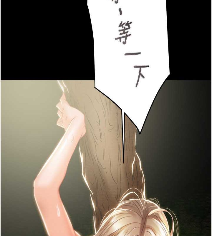 241.jpg