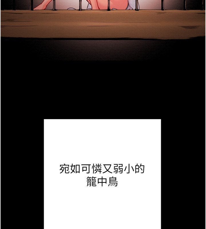 231.jpg