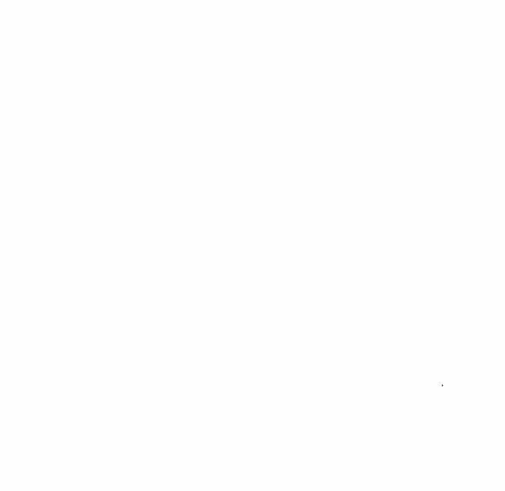 80.jpg