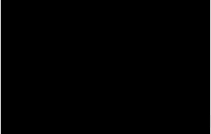 215.jpg