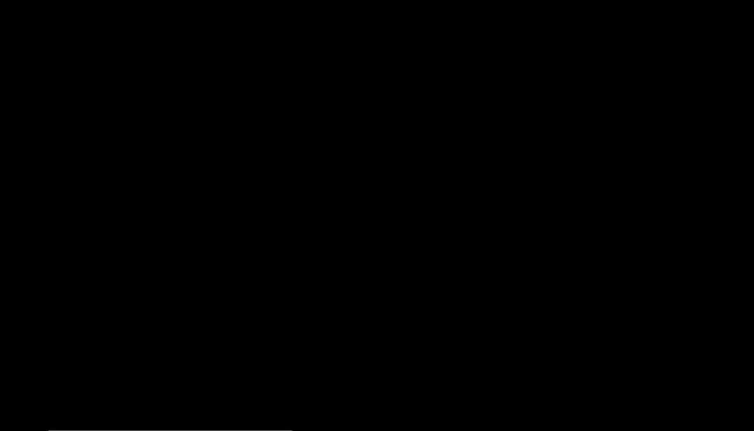 65.jpg
