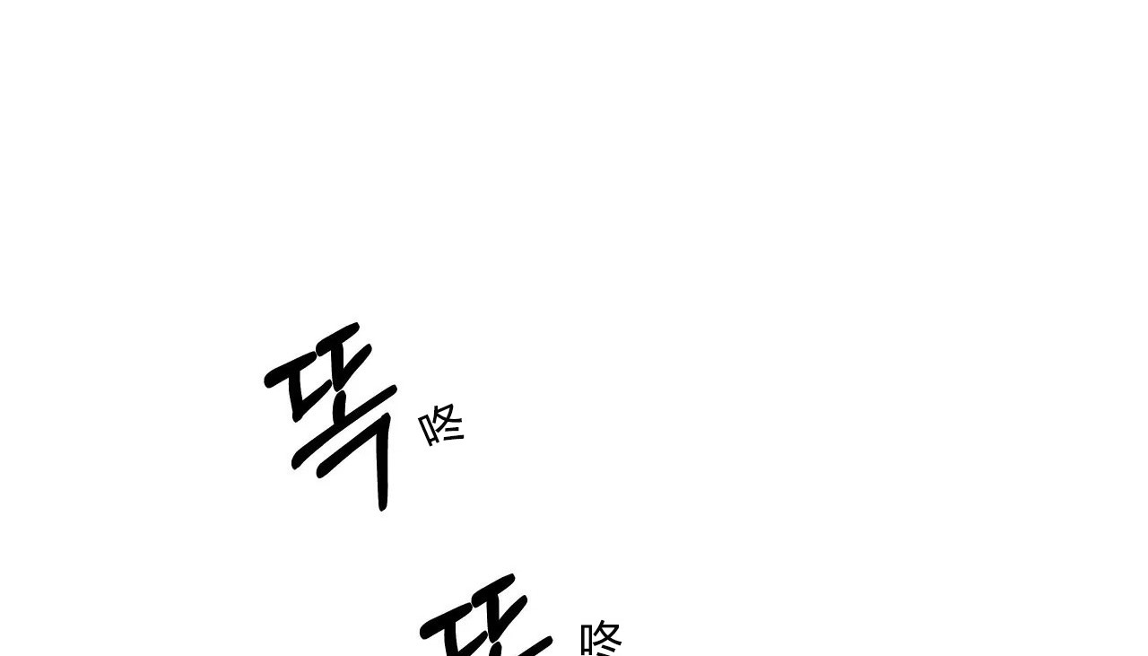 127.jpg