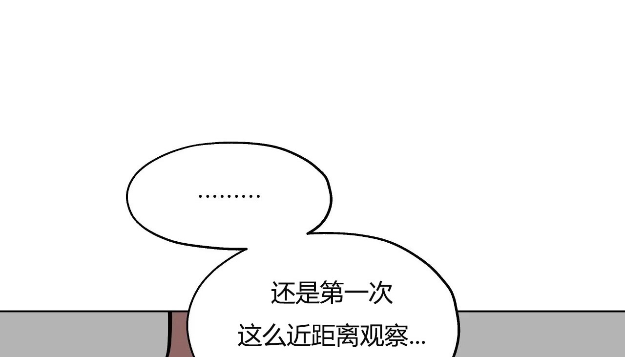 95.jpg