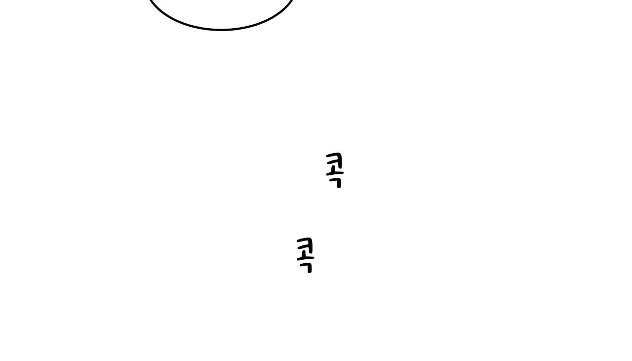 175.jpg