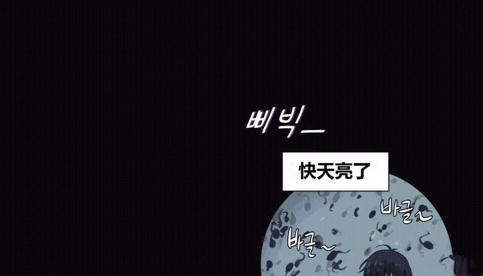 97.jpg