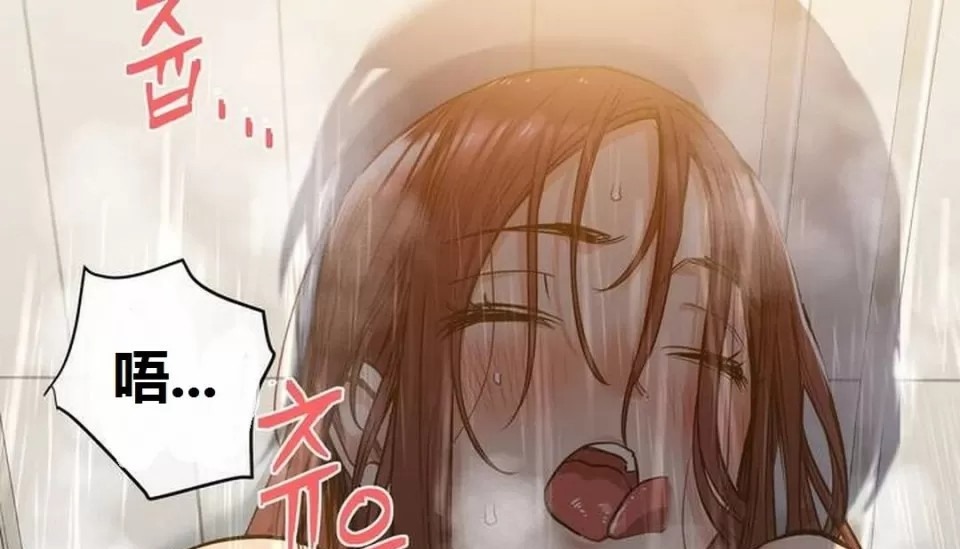 337.jpg