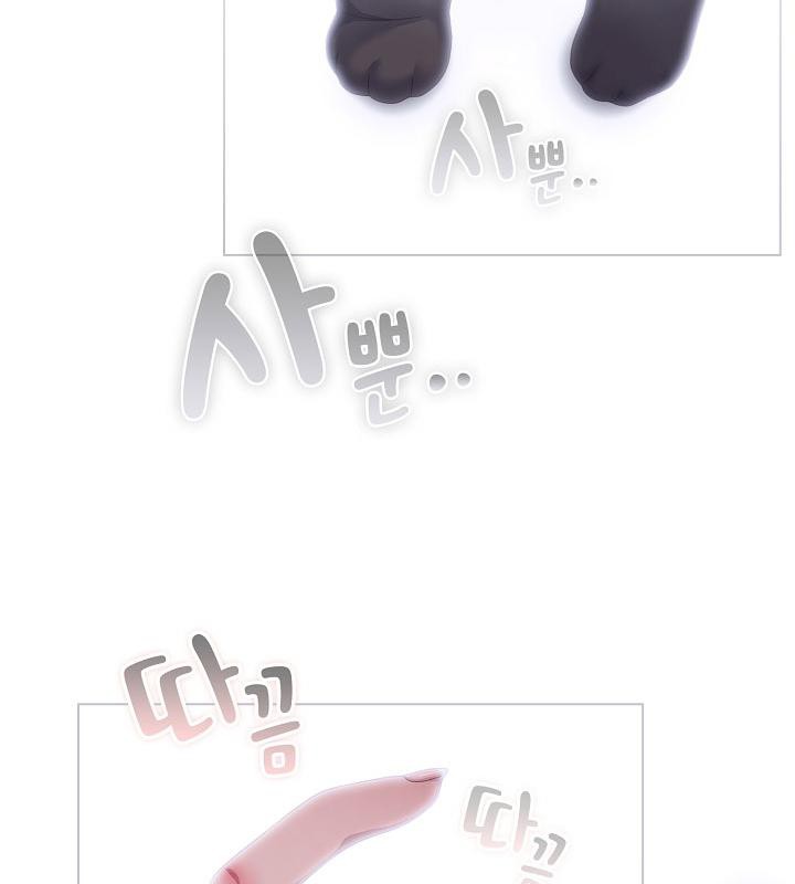 87.jpg
