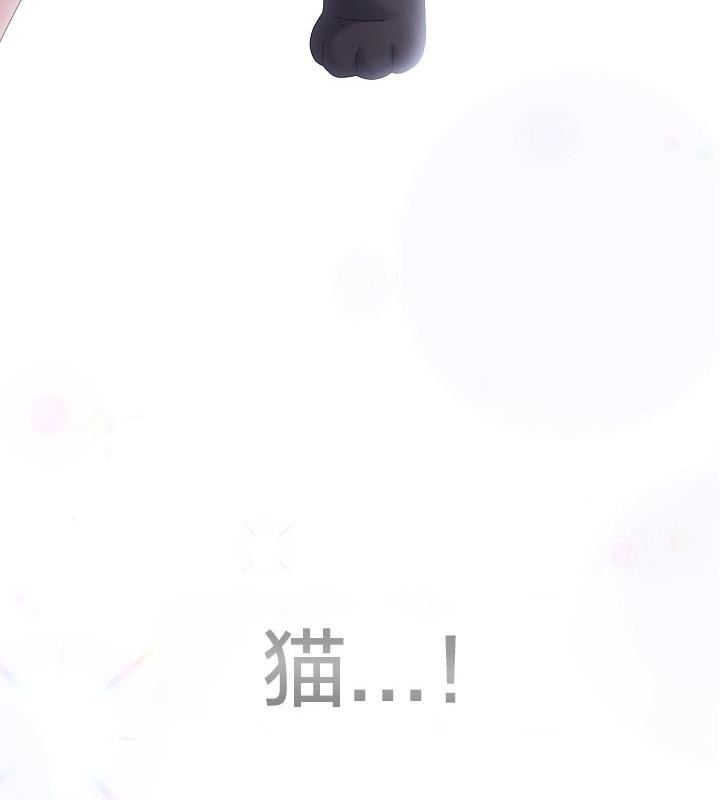 92.jpg