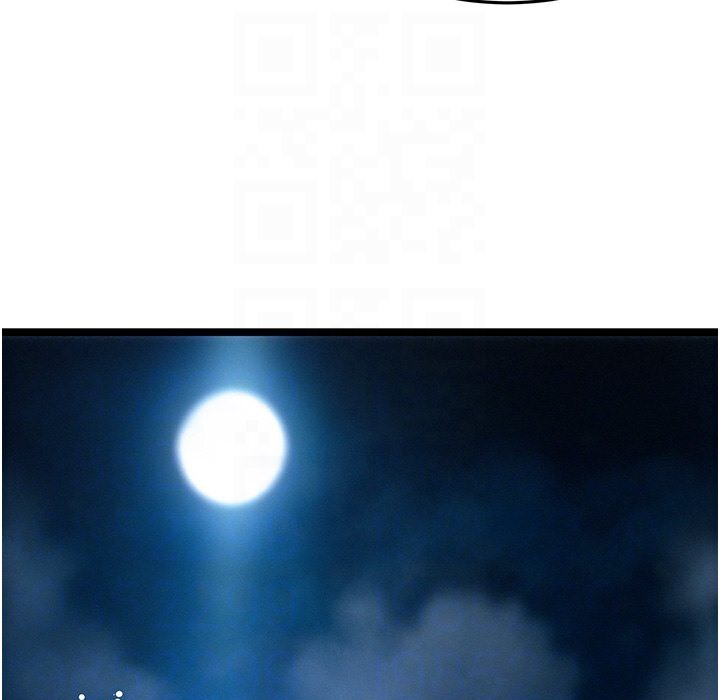 97.jpg