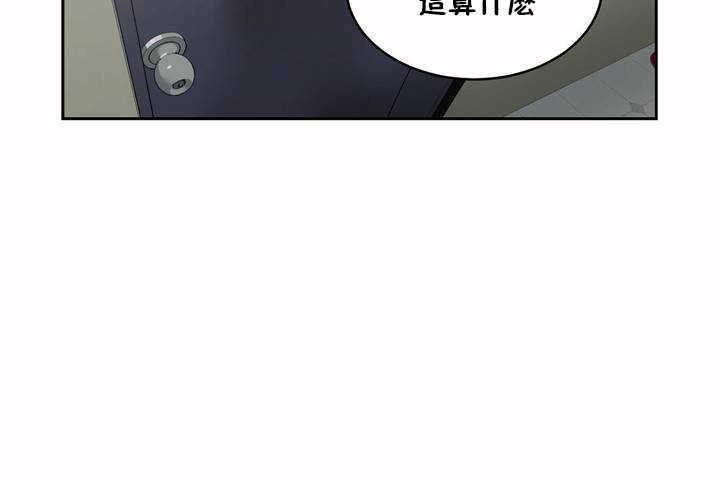 204.jpg