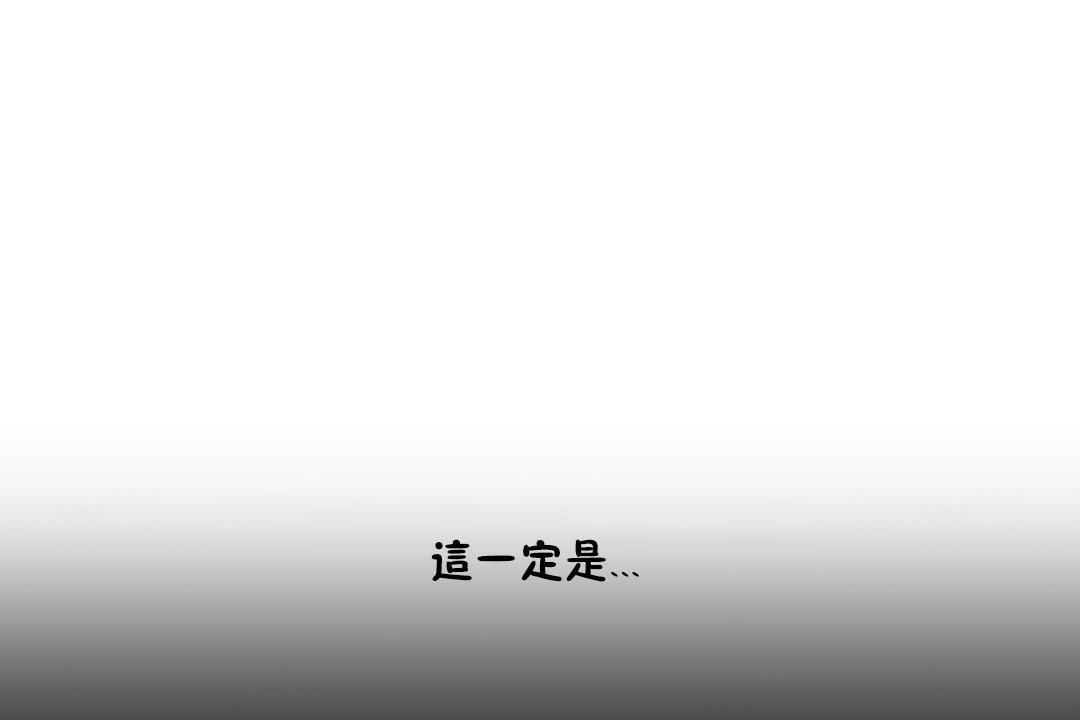 85.jpg