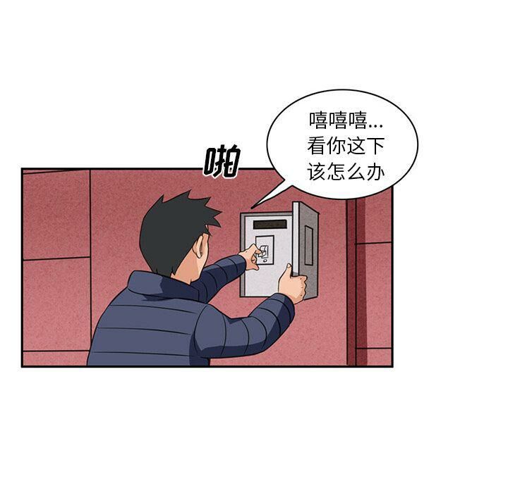 26.jpg