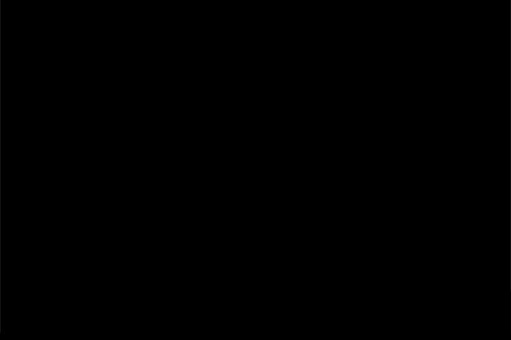 65.jpg
