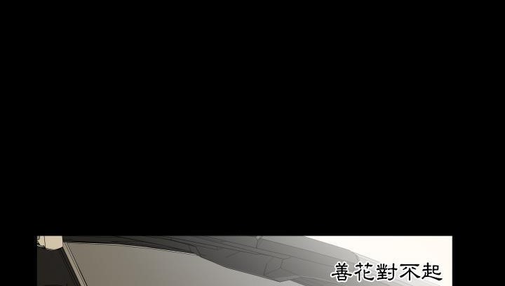 96.jpg
