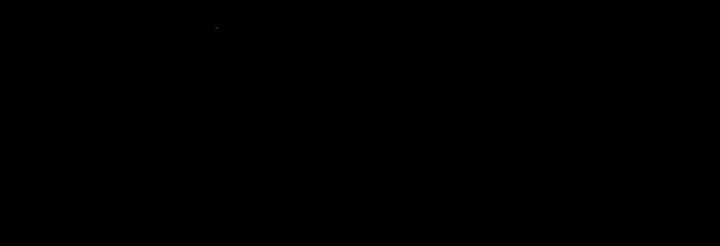 94.jpg