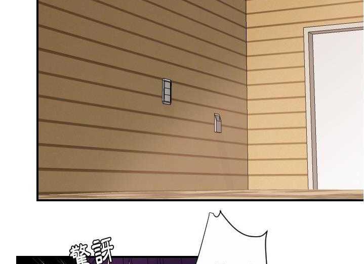 137.jpg