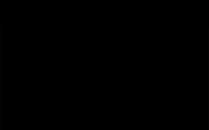 85.jpg