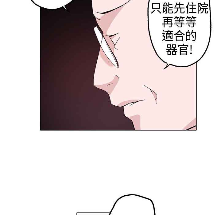 203.jpg