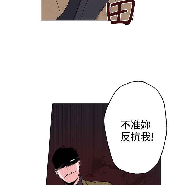 91.jpg