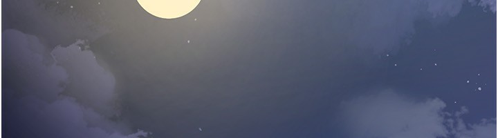 97.jpg
