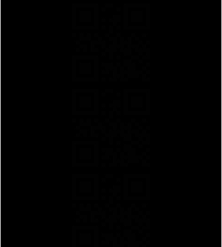 93.jpg